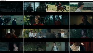 دانلود فیلم دزدیدن اسب ها Out Stealing Horses 2019