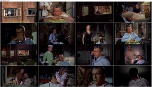 دانلود فیلم پنجره پشتی Rear Window 1954 دانلود فیلم پنجره پشتی Rear Window 1954