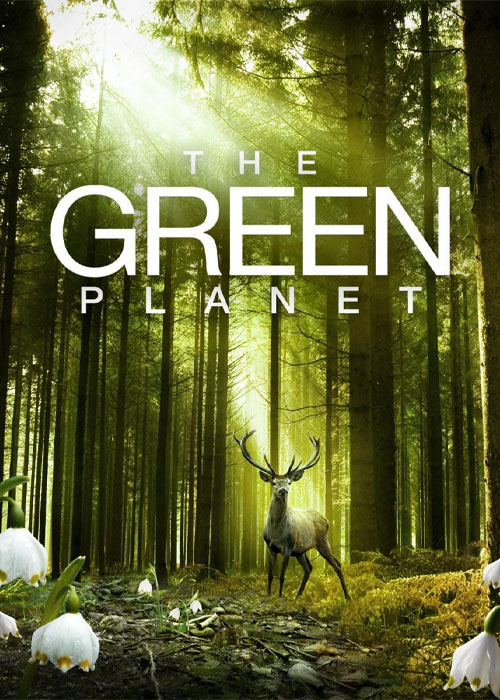 دانلود مستند سیاره سبز The Green Planet 2022 دانلود مستند سیاره سبز The Green Planet 2022