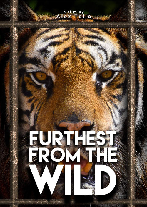 دانلود مستند دورتر از حیات وحش Furthest from the Wild 2014