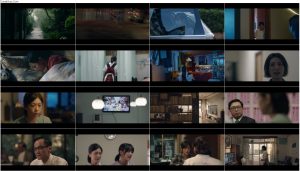 دانلود فیلم آبشار The Falls 2021