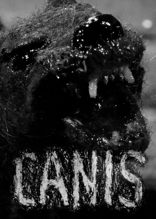 دانلود انیمیشن سگ های خانگی Canis 2013 دانلود انیمیشن سگ های خانگی Canis 2013