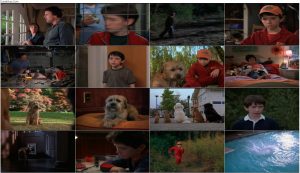 دانلود فیلم پسر خوب با دوبله فارسی Good Boy 2003 دانلود فیلم پسر خوب با دوبله فارسی Good Boy 2003