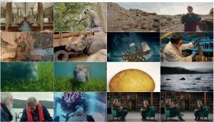 دانلود مستند جانواران شگفت انگیز Fantastic Beasts 2022 جانواران شگفت انگیز Fantastic Beasts: A Natural History 2022