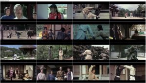 دانلود فیلم مشت اژدها Dragon Fist 1979