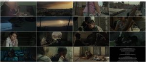 دانلود فیلم ببرها نمی ترسند Tigers Are Not Afraid 2017 دانلود فیلم ببرها نمی ترسند Tigers Are Not Afraid 2017