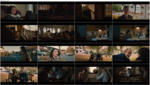 دانلود فیلم سرقت نقره Stealing Silver 2018 دانلود فیلم سرقت نقره Stealing Silver 2018