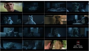 دانلود فیلم Teddy Bears are for Lovers 2016 فیلم خرس های عروسکی برای عشاق هستند Teddy Bears are for Lovers 2016
