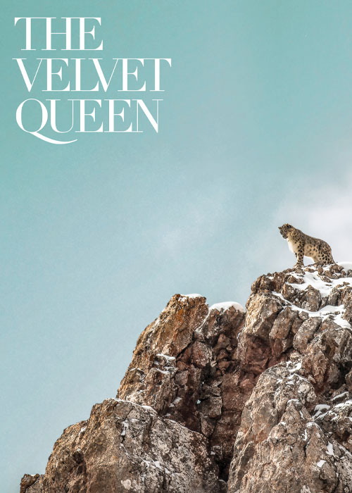 دانلود مستند ملکه مخملی The Velvet Queen 2021 دانلود مستند ملکه مخملی The Velvet Queen 2021