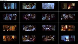 دانلود فیلم بارانی Raincoat 2004