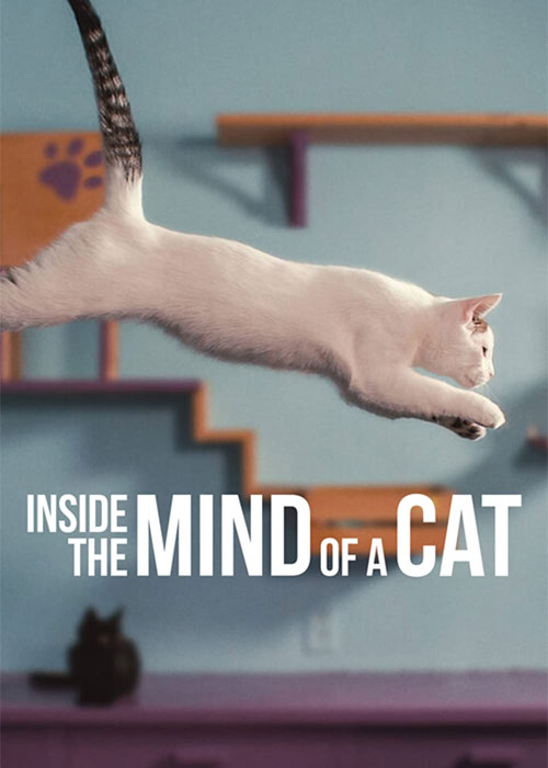 دانلود مستند Inside the Mind of a Cat 2022 مستند درون ذهن یک گربه Inside the Mind of a Cat 2022