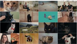 دانلود مستند Inside the Mind of a Cat 2022 مستند درون ذهن یک گربه Inside the Mind of a Cat 2022