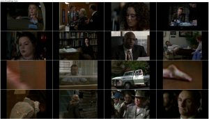 دانلود فیلم زندگی دیوید گیل The Life of David Gale 2003 دانلود فیلم زندگی دیوید گیل The Life of David Gale 2003
