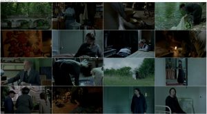 دانلود فیلم سرافین Seraphine 2008 دانلود فیلم سرافین Seraphine 2008