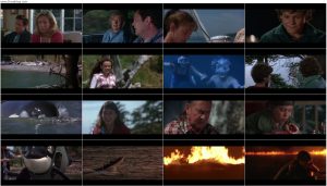 دانلود فیلم Free Willy 2: The Adventure Home 1995 دانلود فیلم Free Willy 2: The Adventure Home 1995