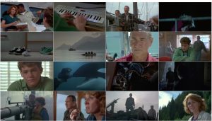 دانلود فیلم نهنگ آزاد ۳: نجات Free Willy 3: The Rescue 1997 دانلود فیلم نهنگ آزاد ۳: نجات Free Willy 3: The Rescue 1997