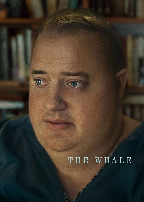 دانلود فیلم نهنگ The Whale 2022 دانلود فیلم نهنگ The Whale 2022
