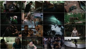 دانلود مستند گربه وحشی Wildcat 2022