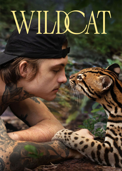 دانلود مستند گربه وحشی Wildcat 2022 دانلود مستند گربه وحشی Wildcat 2022