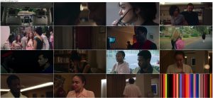 دانلود فیلم ولگردها The Strays 2023 دانلود فیلم ولگردها The Strays 2023