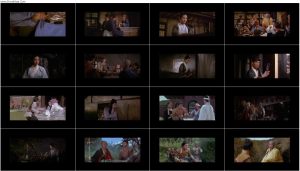 دانلود فیلم چوبدست بامبوی سبز Come Drink with Me 1966 دانلود فیلم چوبدست بامبوی سبز Come Drink with Me 1966