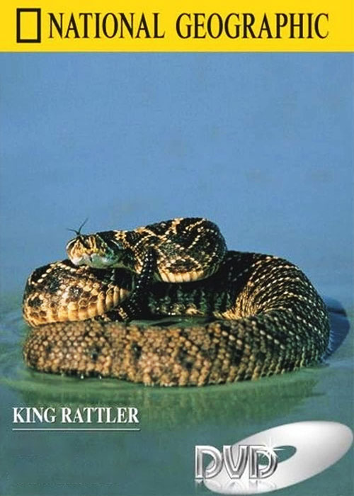 دانلود مستند شاه مار زنگی King Rattler 2004 دانلود مستند شاه مار زنگی King Rattler 2004
