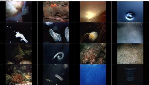دانلود مستند منشا زندگی Origins of Life 2001 دانلود مستند منشا زندگی Origins of Life 2001
