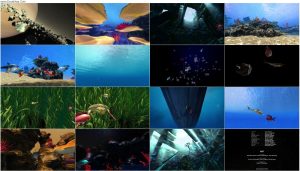 دانلود انیمیشن Kaluoka'hina: The Enchanted Reef 2004 دانلود انیمیشن Kaluoka'hina: The Enchanted Reef 2004