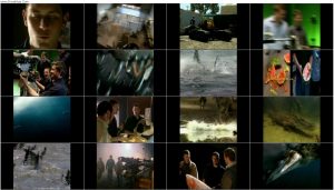 دانلود مستند Saltwater Crocodile vs. Great White Shark 2004 دانلود مستند Animal Face Off: Saltwater Crocodile vs Great White Shark 2004