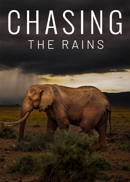 دانلود مستند Chasing the Rains 2022 مستند در تعقیب باران Chasing the Rains 2022