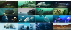دانلود انیمیشن Katak: The Brave Beluga 2023 دانلود انیمیشن Katak: The Brave Beluga 2023