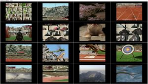 دانلود مستند المپیک حیوانات Animal Games 2004 دانلود مستند المپیک حیوانات Animal Games 2004