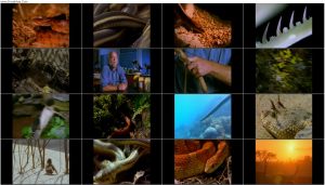 دانلود فیلم مارها Snakes 2018