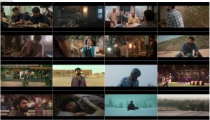 دانلود فیلم Download 777 Charlie 2022 فیلم هندی چارلی ۷۷۷ 777 Charlie 2022