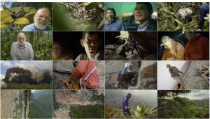 دانلود مستند Explorer: The Last Tepui 2022 دانلود مستند Explorer: The Last Tepui 2022