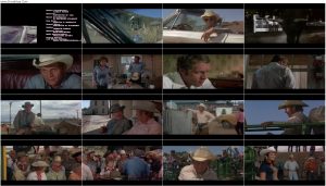 دانلود فیلم جونیور بانر Junior Bonner 1972 دانلود فیلم جونیور بانر Junior Bonner 1972