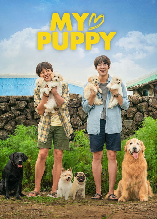 دانلود فیلم قلب حیوان خانگی من My Heart Puppy 2023 دانلود فیلم قلب حیوان خانگی من My Heart Puppy 2023