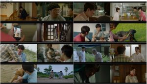 دانلود فیلم کره ای My Heart Puppy 2023