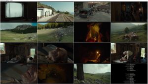 دانلود فیلم حفره The Hole 2021 دانلود فیلم حفره The Hole 2021
