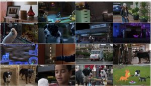 دانلود فیلم Cats & Dogs 3: Paws Unite 2020 دانلود فیلم Cats & Dogs 3: Paws Unite 2020