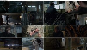 دانلود فیلم دسته جمعی The Collective 2023