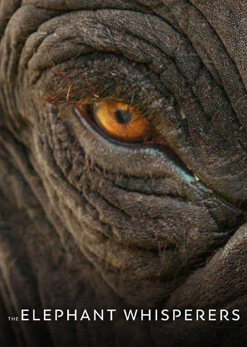 دانلود مستند The Elephant Whisperers 2022