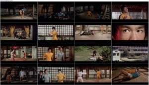 دانلود مستند The Final Game of Death 2023 دانلود مستند The Final Game of Death 2023