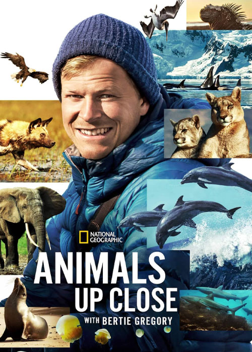 دانلود مستند Animals Up Close with Bertie Gregory 2023 دانلود مستند Animals Up Close with Bertie Gregory 2023