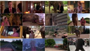 دانلود فیلم بزرگتر از زندگی Larger Than Life 1996 دانلود فیلم بزرگتر از زندگی Larger Than Life 1996