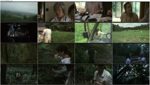 دانلود فیلم جنگل سوگوار The Mourning Forest 2007