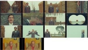 دانلود فیلم قو The Swan 2023