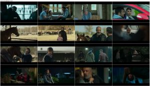 دانلود قسمت هفتم سریال مرداب با کیفیت BluRay قسمت هفتم سریال مرداب The Marsh Episode 07