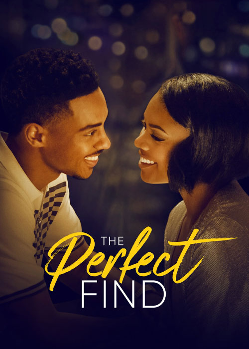 دانلود فیلم کشف بی عیب و نقص The Perfect Find 2023