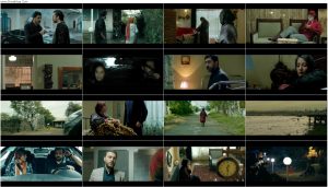 دانلود فیلم نمور با کیفیت عالی Full HD دانلود فیلم نمور